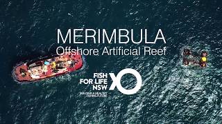 Merimbula Bay Offshore Artificial Reef