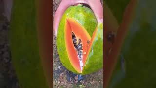 how to cut papaya #shorts