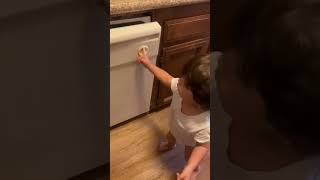 Toddler helping with the dishwasher #short