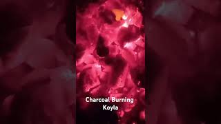 Charcoal Burning