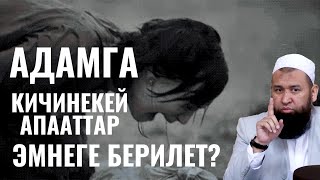 АДАМГА КИЧИНЕКЕЙ АПААТТАР ЭМНЕГЕ БЕРИЛЕТ?