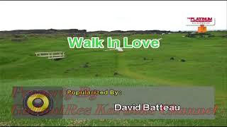 Walk In Love - David Batteau (Karaoke)