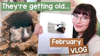 All my pets are getting old, 100k subscribers & Rat intros | VLOG