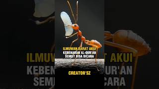 Ilmuwan Barat Mengakui Kebenaran Alquran-Semut Bisa Bicara #shorts