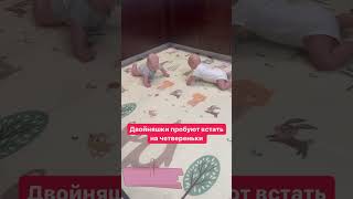 Вера кажется раньше поползет🙃 девочки такие девочки #семья #двойняшки #многодетнаясемья #дети #юмор