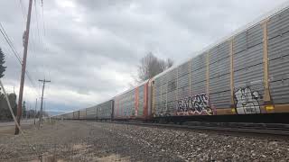 Union Pacific freight train passes by and (eventually) comes to a stop