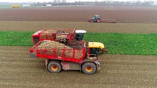 Sugarbeet harvesting | 6-row Vervaet Q616 | Vredo / Panien self- propelled beet chaser | Klootwijk