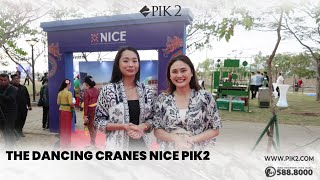 The Dancing Cranes At Nice PIK2