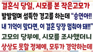 (반전신청사연)결혼식 당일 시모를 본 작은고모가 자꾸 이상한 말을 하는데 "승연아 내 기억이 맞다,면 이결혼 당장 멈춰야 돼"고모의 경고에 시모를[신청사연][사이다썰][사연라디오]