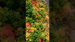 🍂 Fall Colors in Ontario | Canada