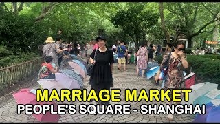 MARRIAGE MARKET   PEOPLE'S SQUARE, SHANGHAI. Bicara Indonesia with ENGLISH SUBTITLE