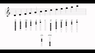 Tin whistle - Notes and fingering charts