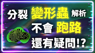 大解析新型遊戲『Amoeba』不會跑路 但是你還是有很多疑問 直接看智能合約與 Excel 計算給你 | GameFi  | amoebaboys