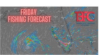 Fishing Inside Tampa Bay and the Friday Fishing Forecast!