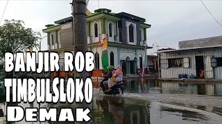 BANJIR ROB TIMBULSLOKO AKANKAH TENGGELAM| SAYUNG TANAH ABRASI