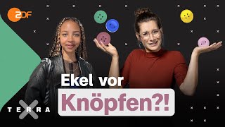 Wann wird Ekel zum Problem? | Terra Xplore mit Lisa Budzinski