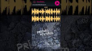 Nester - Primal Rhythm (Promo) 4. SCOPE