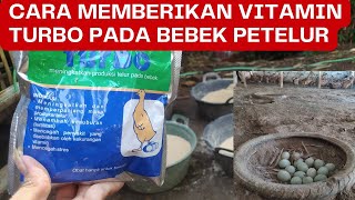 PEMBERIAN VITAMIN TURBO PADA BEBEK PETELUR,AGAR MENINGKATKAN DAN MEMPERPANJANG MASA PRODUKSI TELUR