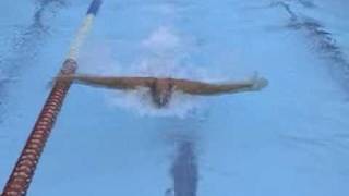 Fernando Scherer - swimming test - butterfly (front view)