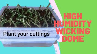 PERFECT High humidity cutting dome [Self-maintaining]