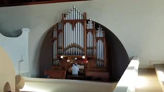 Liebster Jesu, wir sind hier (30 Kleine Choralvorspiele, Op. 135a) -- Max Reger