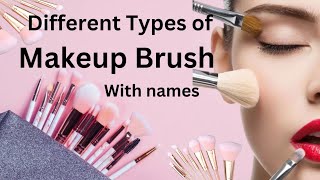 Makeup Brush 🖌️ and sponges with their Names|Makeup Brushes for Beginner |Type of Makeup 🖌️🖌️