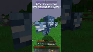 POV: It's your first time fighting the Wither