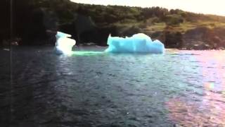 Iceberg breaking up at St Anthony