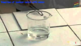 Reaction of Sodium metal with Water