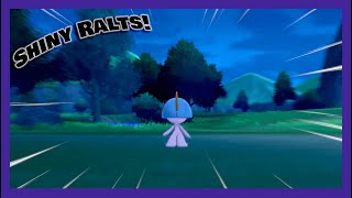 I Found Shiny Ralts After 1723 Encounters (Pokemon Shield)!