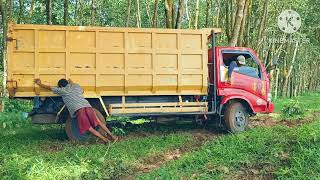 KEPATER SEHARIAN MASUK HUTAN KARET LAMPUNG