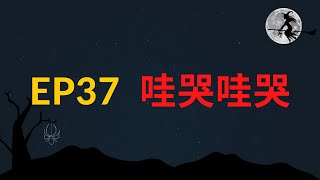 EP37 哇哭哇哭