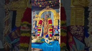 Srirangam Sri Namperumal Dolotsavam Day 3. முத்து கிருஷ்ணர் கொண்டை #srirangam