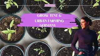 Urban farming & indoor tent building | EN