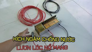 Kích Cá Ngâm Nước | đt tư vấn : 098079962