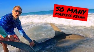 My Best Day SHARK FISHING Yet!!! | Nonstop SHARKS!!!