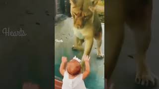 cute baby with lion 🦁