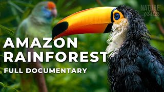 THE GREAT AMAZON | An Extraordinary Journey - Full Documentary