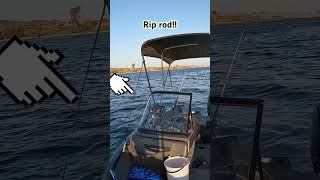 Such a crazy morning! Rip to dans rod. #humor #stripedbassfishing #funny #reelsinstagram #sports