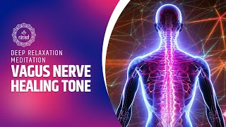 Vagus Nerve Healing - Activate The Parasympathetic Nervous System | Deep Relaxation Meditation Tone