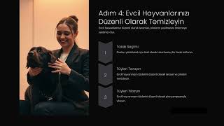 Pire İlaçlama:Evcil Hayvanlarınız İçin Güvenli Çözüm