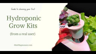 Grow Herbs & Vegetables Indoors | iDOO 10-pot Hydroponic Grow System | Start A Kitchen Herb Garden