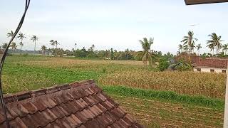 Pemandangan Indah-nikmat Allah swt