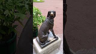 #dog #statue