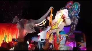 Haathi ne "Ganpati Ji" ko haar pehnaya 😍🤩#ganeshchaturthi #vlogs