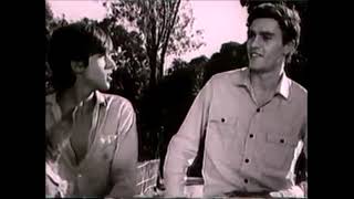 A homossexualidade por metáfora e poesia: "O menino e o vento" (1967)