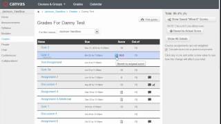 "What-If" Grades in Canvas (Oct14)