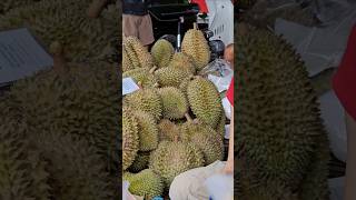 Thai Girl Cutting & Selling Ripe DurianS #durian #beautiful