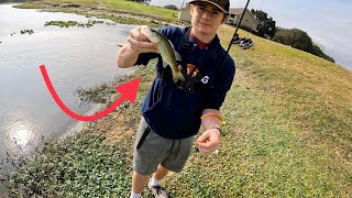 Fishing in Golf Course Ponds in Florida!(a lot of snakes)