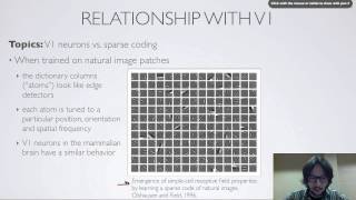 Neural networks [8.9] : relationship with V1